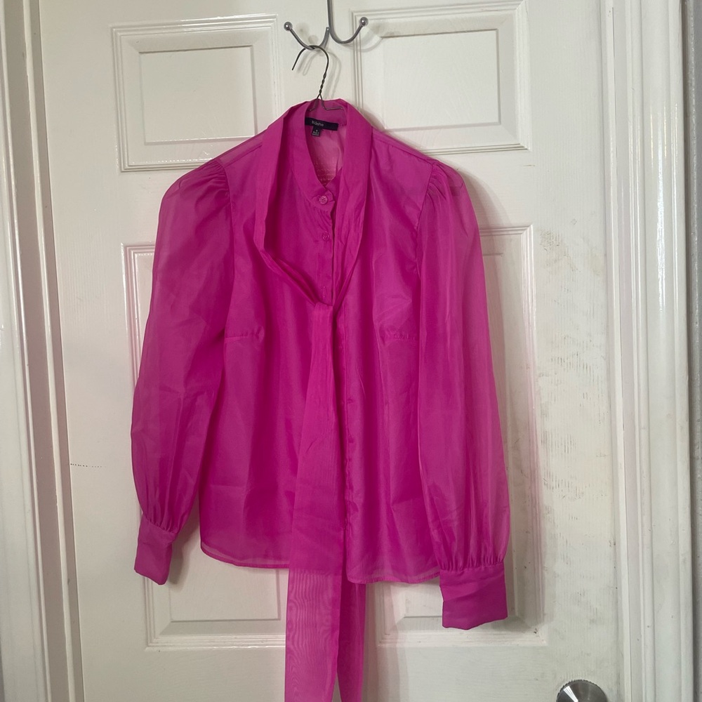 Vibrant Pink Sheer Blouse